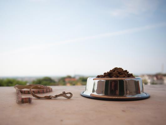 5 chyb, kterých se vyvarujte při skladování krmiva vašeho psa